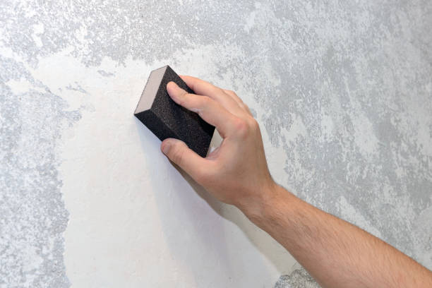 Best Forensic Mold Investigation  in Hamilton, OH
