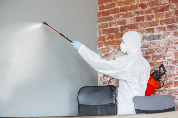 Best Mold Documentation for Insurance Claims  in Hamilton, OH