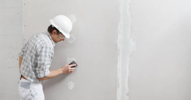 Best Mold Odor Removal Services  in Hamilton, OH