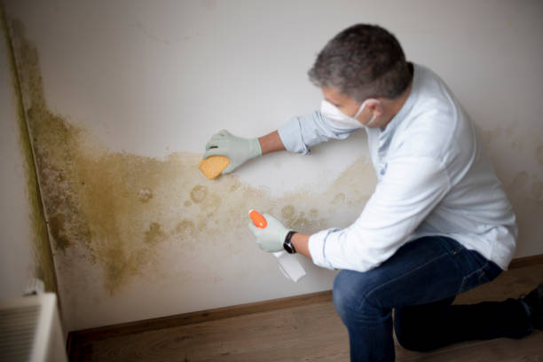 Best Air Quality Testing for Mold Spores  in Hamilton, OH