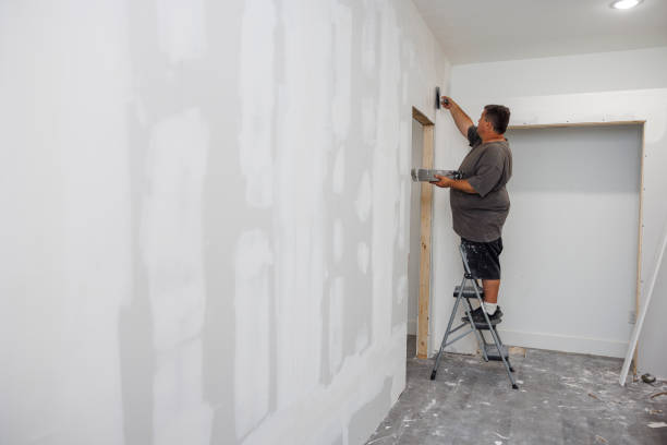Best Crawl Space Mold Remediation  in Hamilton, OH