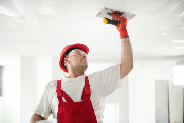 Best Residential Mold Inspection & Testing  in Hamilton, OH
