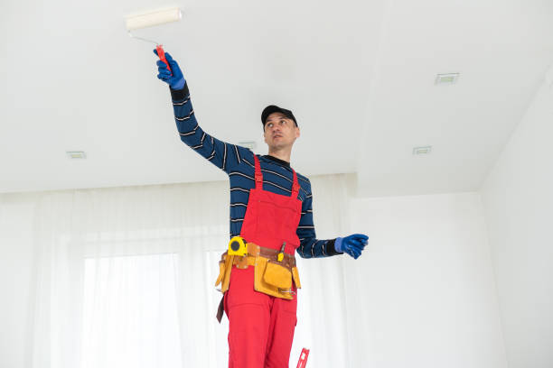 Best Water Damage & Mold Remediation  in Hamilton, OH