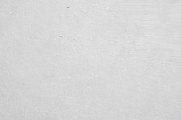 Best Commercial Mold Inspection  in Hamilton, OH