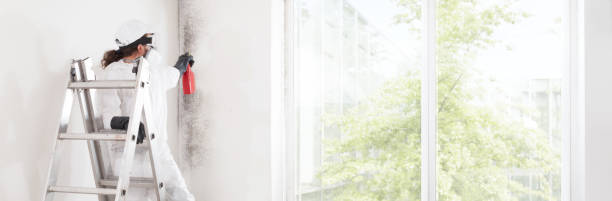 Best Mold Remediation for Healthcare Facilities  in Hamilton, OH