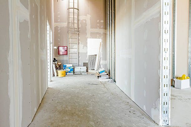 Best Biohazard Mold Removal  in Hamilton, OH